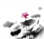 Thumbnail for the post titled: 突破障礙的關節