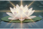 Thumbnail for the post titled: 聖如意輪觀音實修記錄
