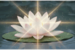 Thumbnail for the post titled: 聖如輪觀音實修記錄(二)