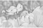 Thumbnail for the post titled: 基本心態的探討